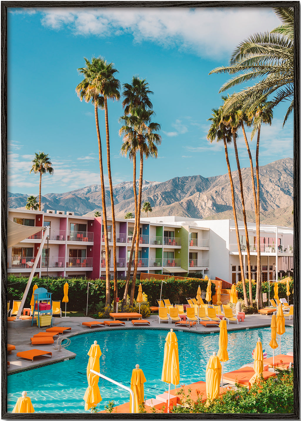 Skorter | Palm Springs Saguaro - Bethany Young