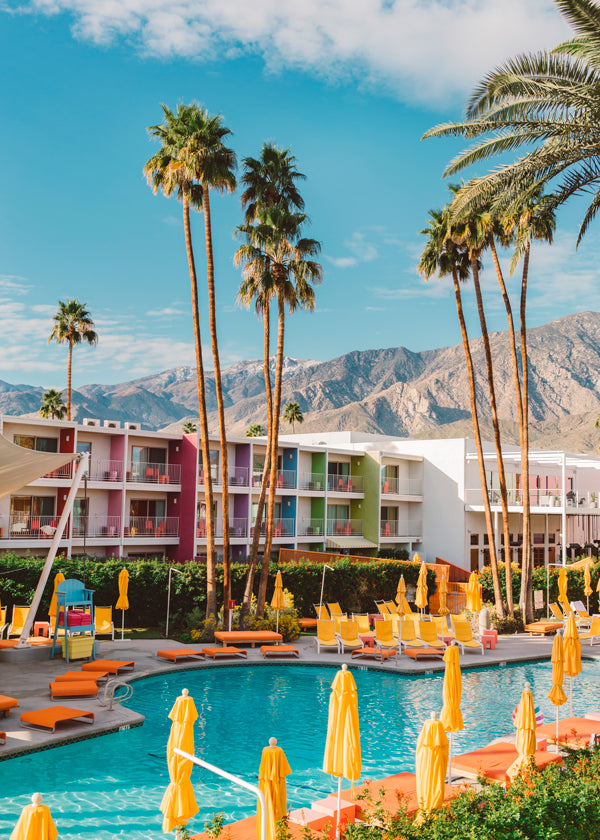 Skorter | Palm Springs Saguaro - Bethany Young