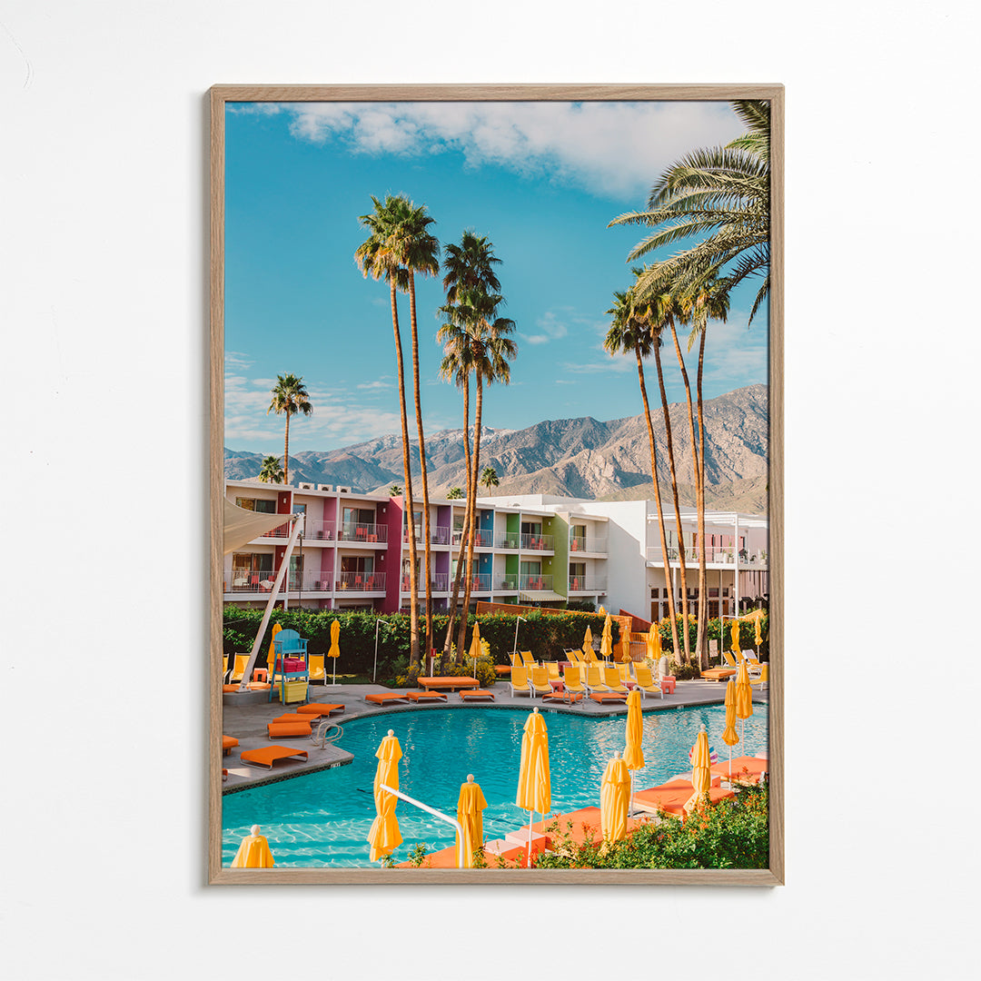 Skorter | Palm Springs Saguaro - Bethany Young