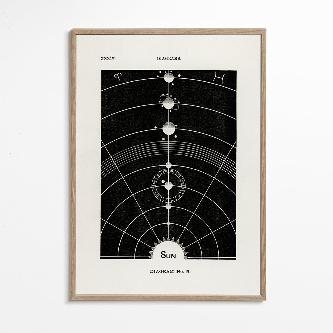 Skorter | Solar Biology No. 5 - Hiram Eratus Butler