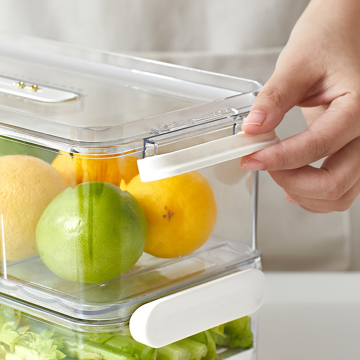 Skorter | 1 pc Refrigerator Storage Box – Food Safe PET Storage Container, Single/Double Layer