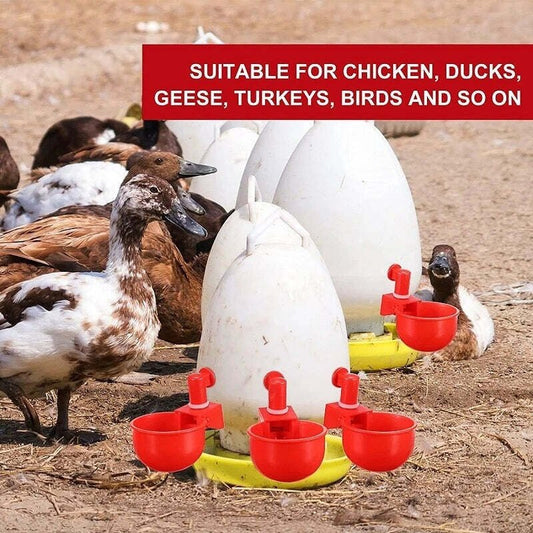 Skorter | Automatic Chicken Water Cup Bird Coop