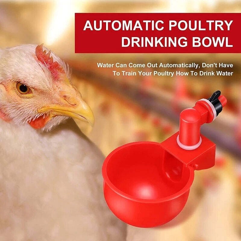 Skorter | Automatic Chicken Water Cup Bird Coop
