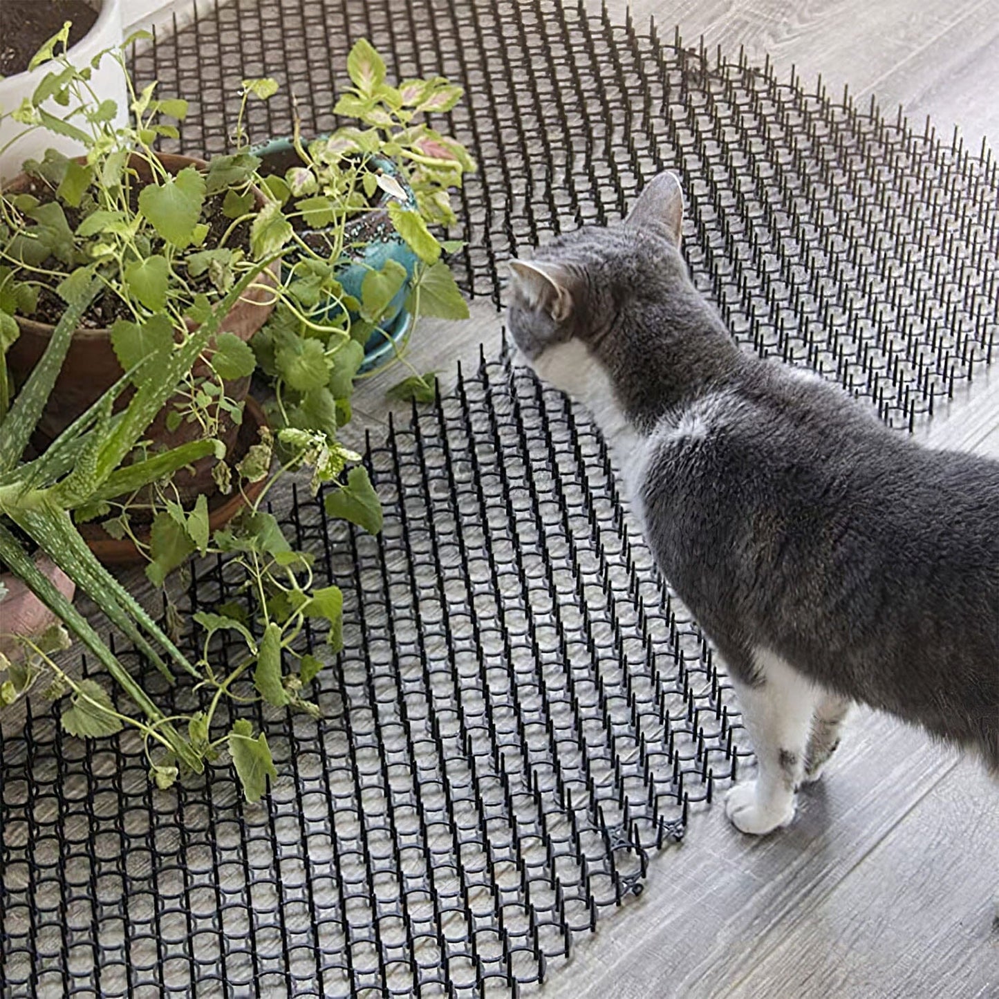 Skorter | 10-Bit: Cat Repellent Scat Mat with Spikes