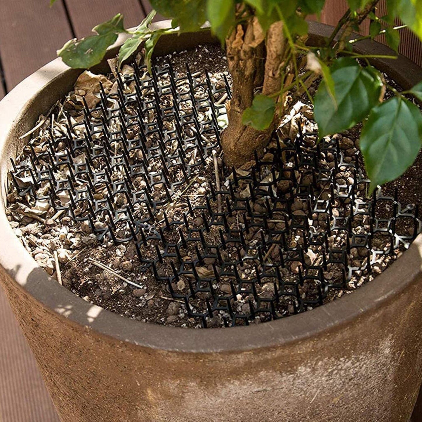 Skorter | 10-Bit: Cat Repellent Scat Mat with Spikes