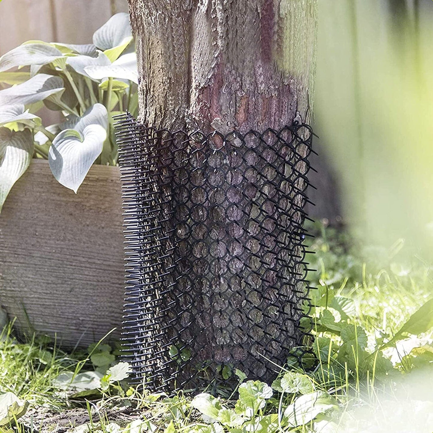Skorter | 10-Bit: Cat Repellent Scat Mat with Spikes