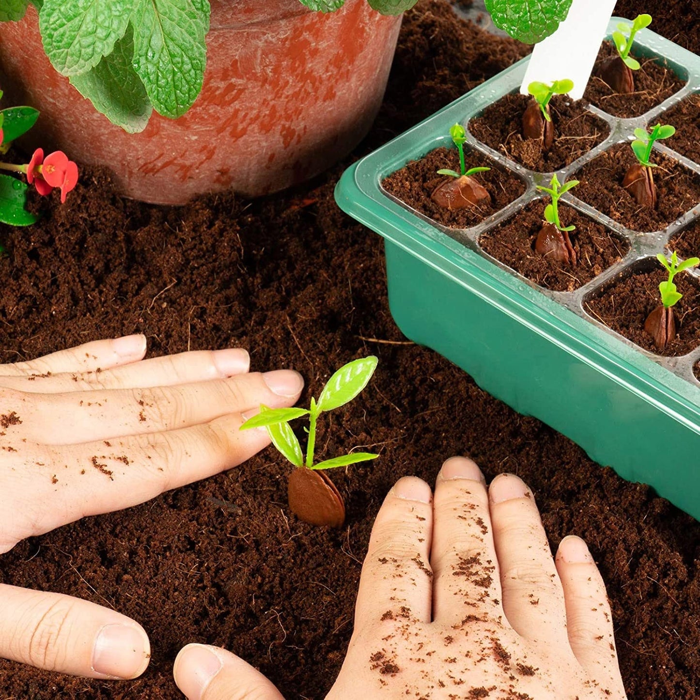 Skorter | 10-piece: Reusable seed starting tray set
