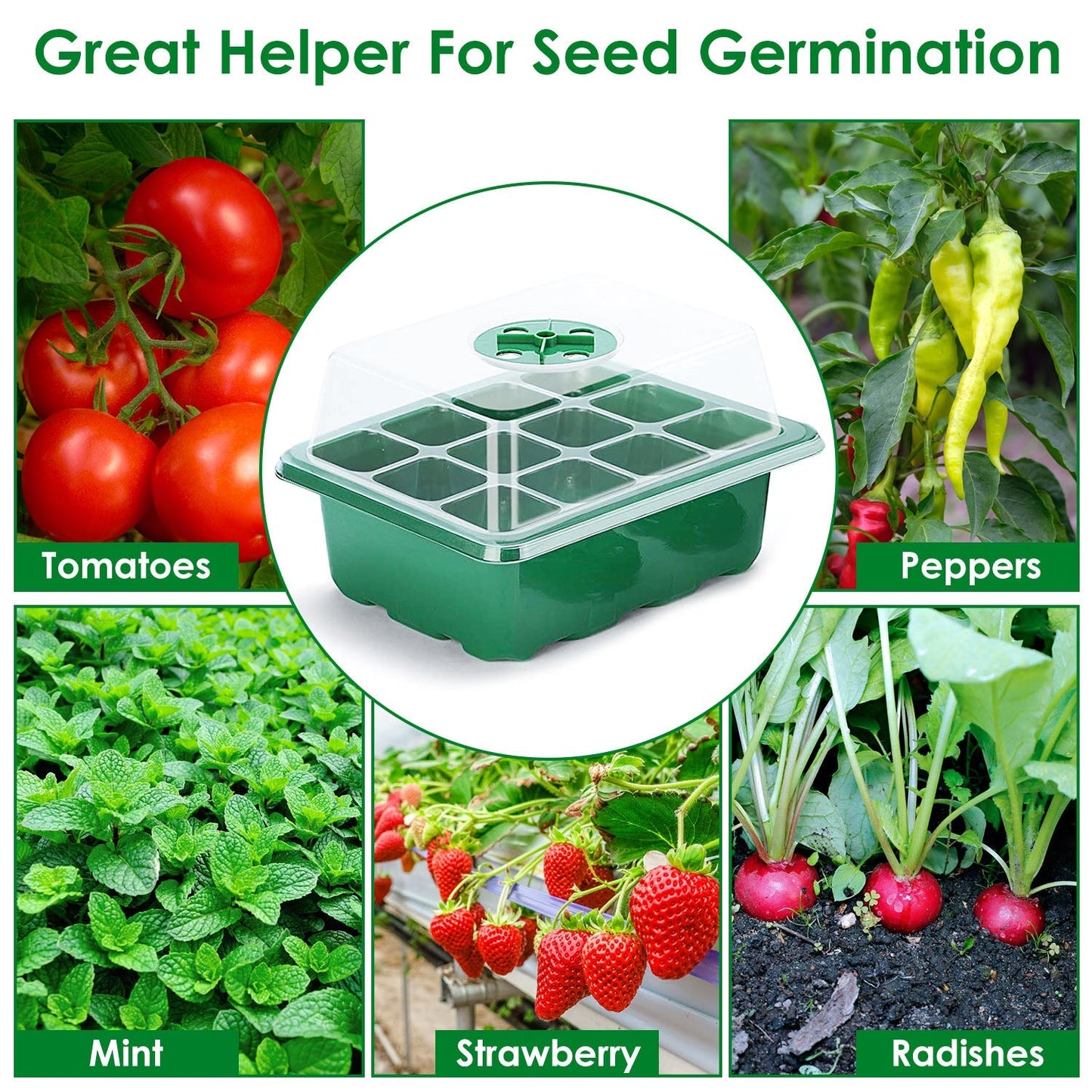Skorter | 10-piece: Reusable seed starting tray set