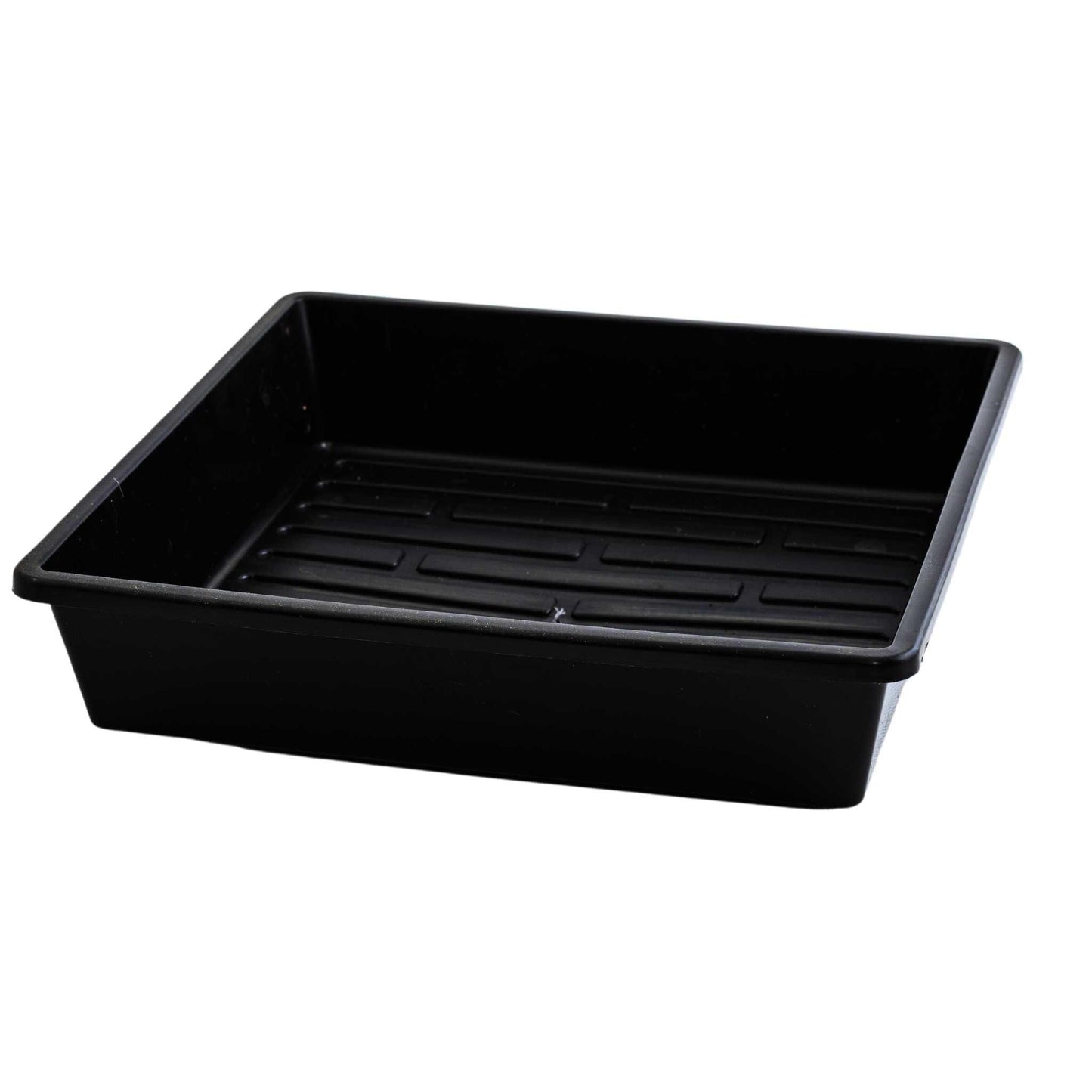 Skorter | 1010 Board 2.5" Deep Board Extra Strength