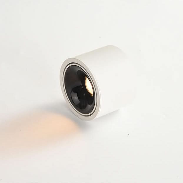 Skorter | Adjustable LED Flush Mount Ceiling Spotlight
