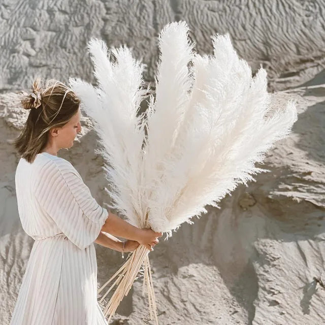 Skorter | BohoBliss - Dried Pampas Grass