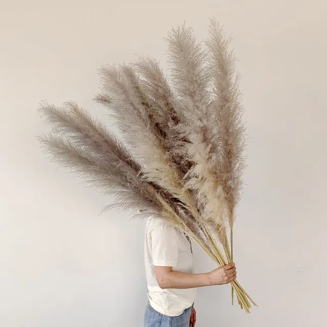 Skorter | BohoBliss - Dried Pampas Grass