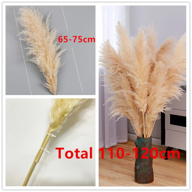 Skorter | BohoBliss - Dried Pampas Grass