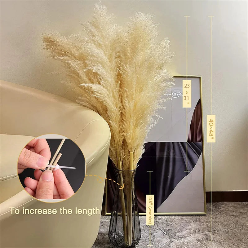 Skorter | BohoBliss - Dried Pampas Grass