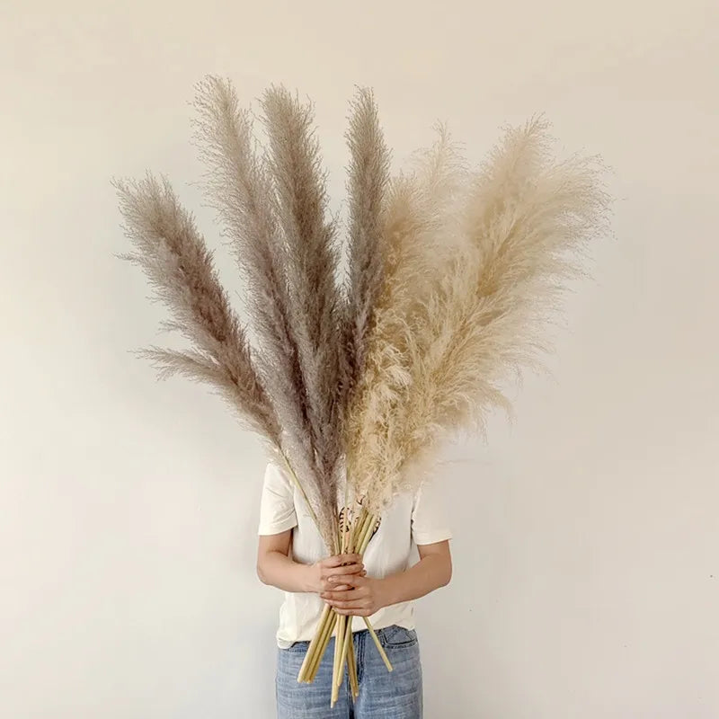 Skorter | BohoBliss - Dried Pampas Grass
