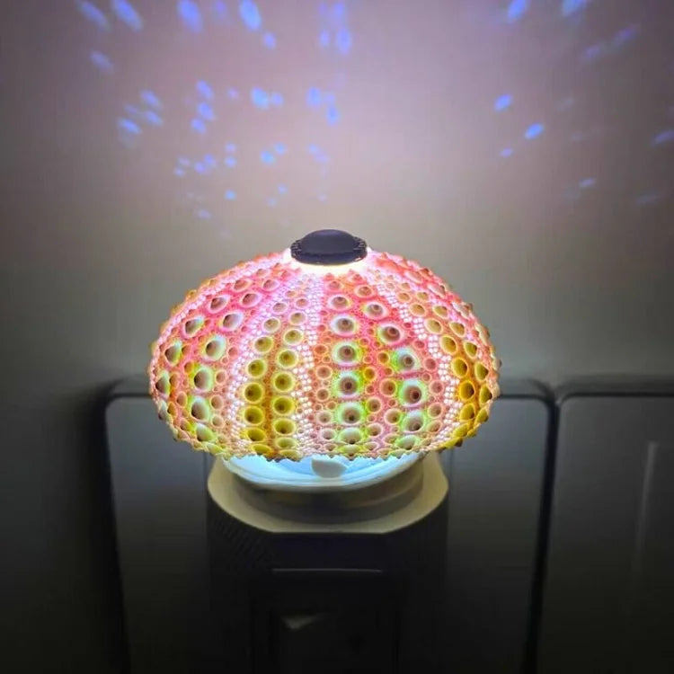 Skorter | LumiCraft – Unique DIY table lamp with natural sea shell for a cozy décor