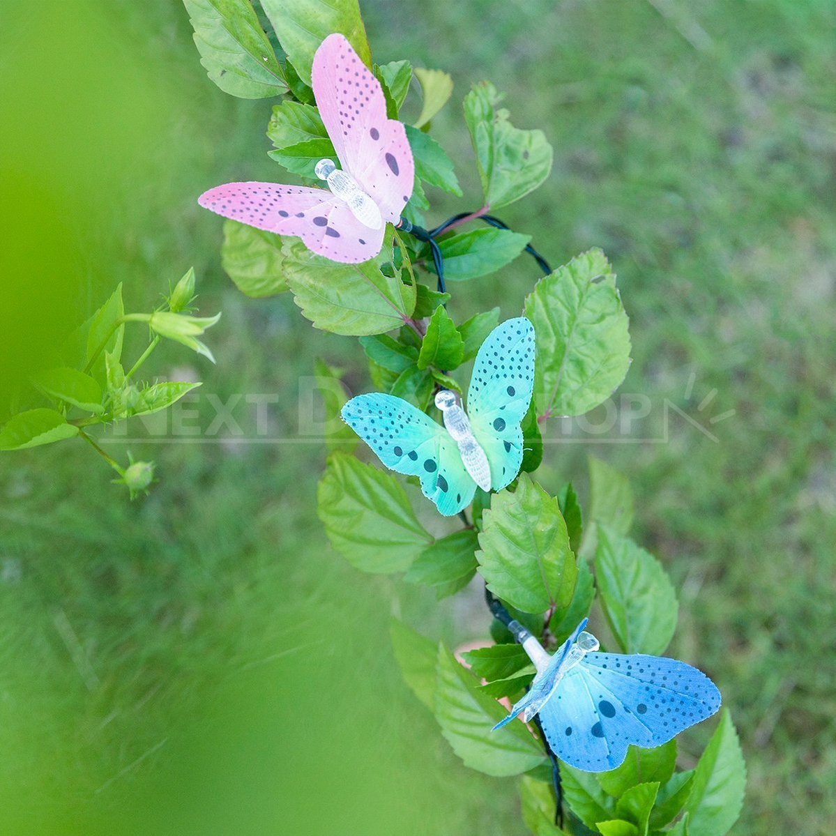 Skorter | 12 Butterfly LED Sun Fairy Lights