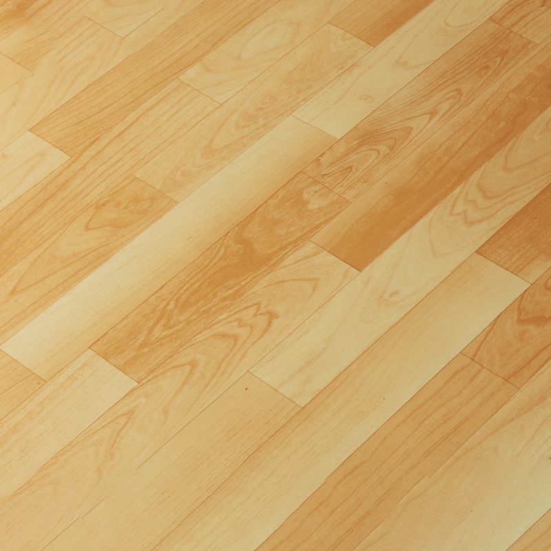 Skorter | Indoor Flooring Peel and Stick Coiled PVC 200cm Waterproof Vinyl Flooring