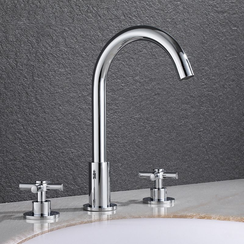 Skorter | Goose Neck Bathroom Sink Faucet 2 Handles Hot and Cold Water Sink Faucet with Drain