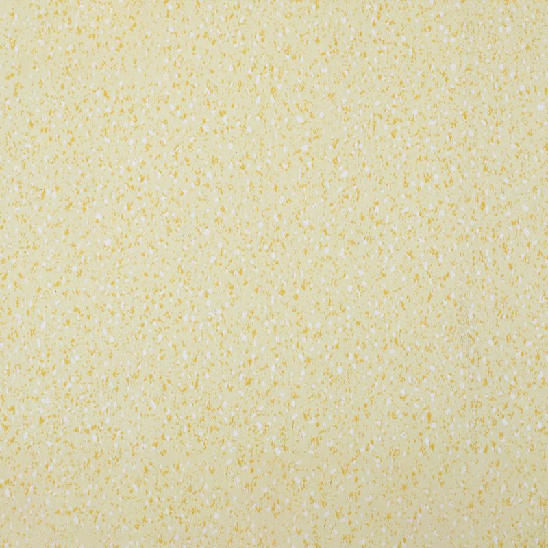 Skorter | Indoor Flooring Peel and Stick Coiled PVC 200cm Waterproof Vinyl Flooring