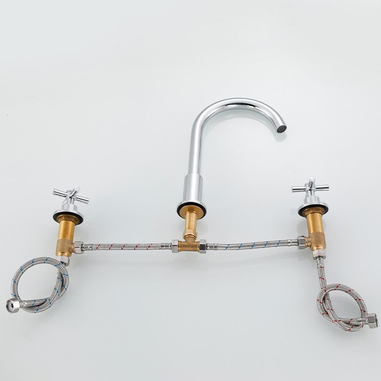 Skorter | Goose Neck Bathroom Sink Faucet 2 Handles Hot and Cold Water Sink Faucet with Drain
