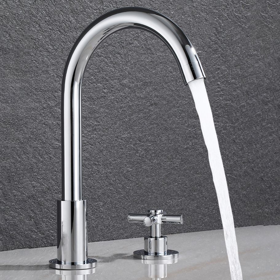 Skorter | Goose Neck Bathroom Sink Faucet 2 Handles Hot and Cold Water Sink Faucet with Drain
