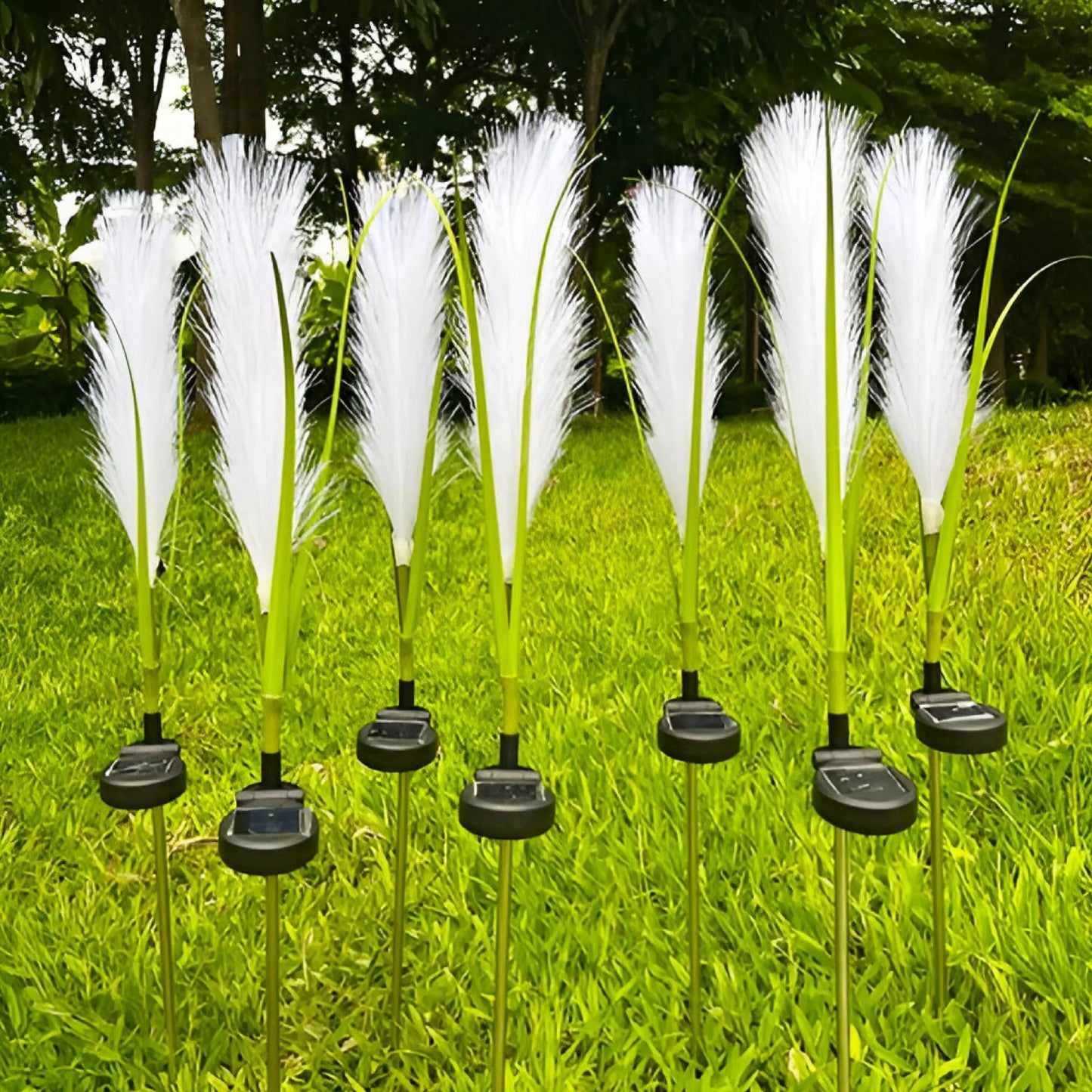 Skorter | EcoGlo – Sustainable Solar Reed Lamp