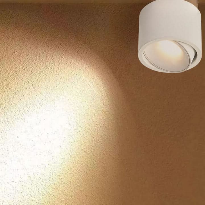 Skorter | Adjustable LED Flush Mount Ceiling Spotlight