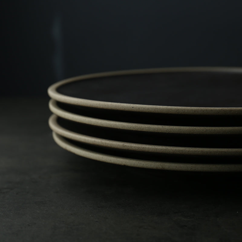 Skorter carbon ceramic plates