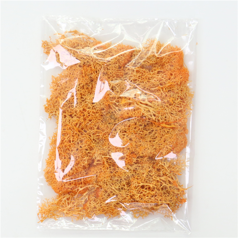 Skorter | Artificial Moss for Landscaping – Moss and Flowers for Decoration and Floristry