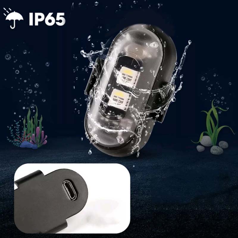 Skorter | Auto LED Lights Kit Summer LED Lights for Car