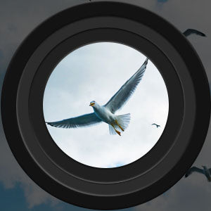 Skorter | Vision Binoculars l Best Long Range Binoculars