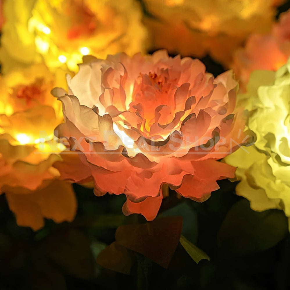 Skorter | 2 pcs - Solar-powered LED Pink Peony Stake Light