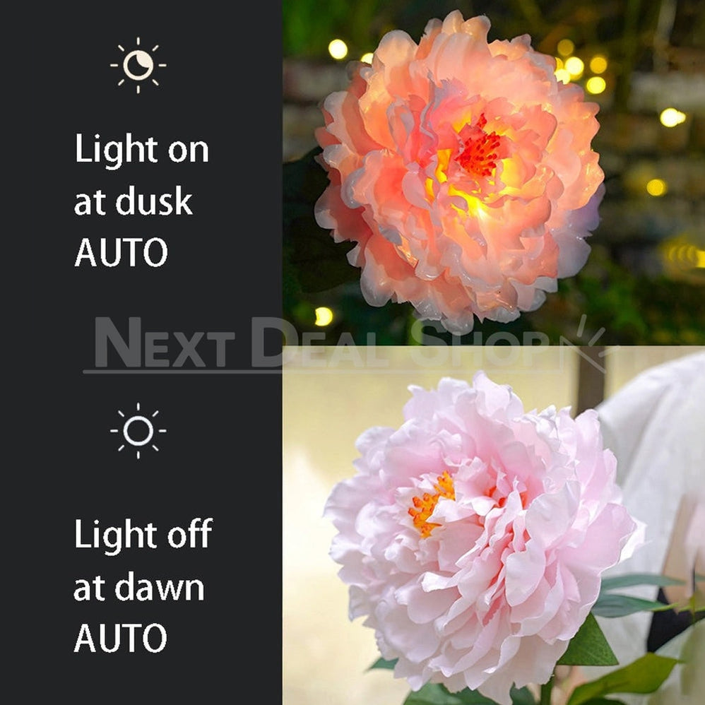 Skorter | 2 pcs - Solar-powered LED Pink Peony Stake Light