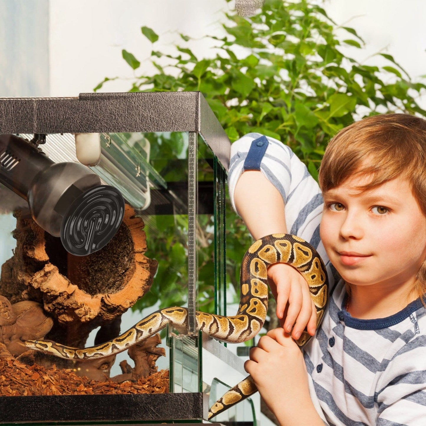 Skorter | 2 pieces: 150W Infrared Reptile Heat Lamp No Light Emission