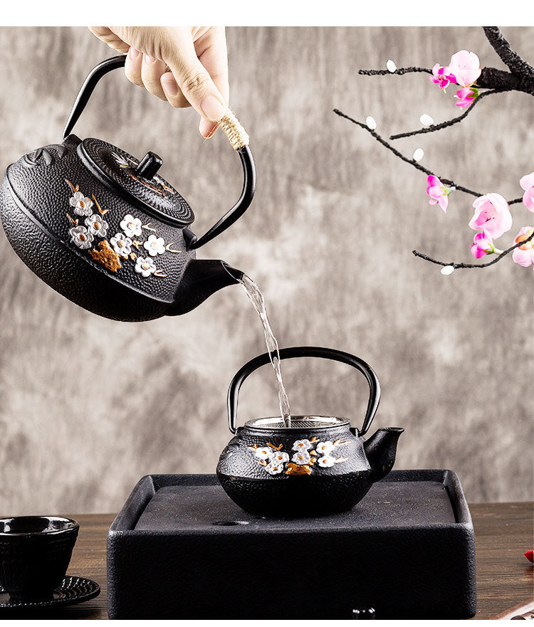 Skorter in Japanese iron pot