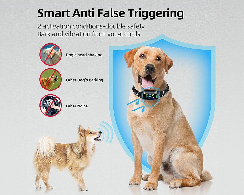 Skorter | Smart Barking Collar