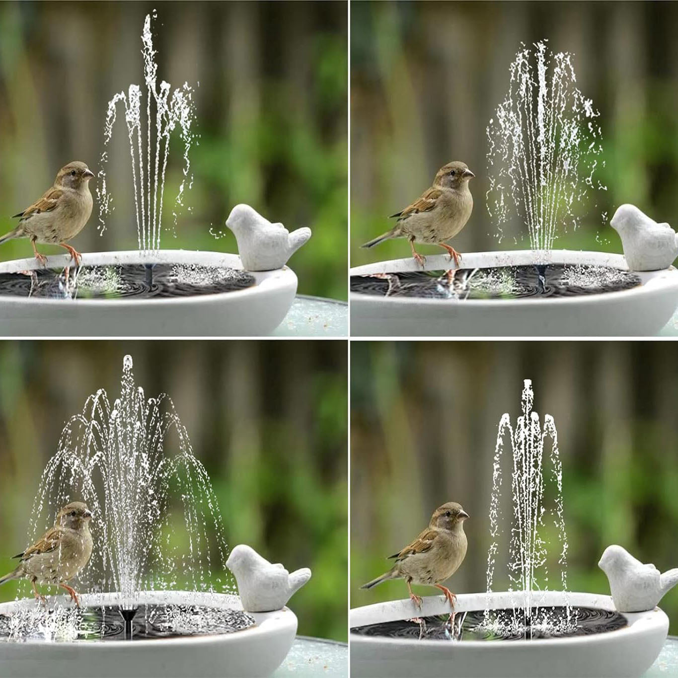 Skorter | 3-layer solar-powered water fountain kit