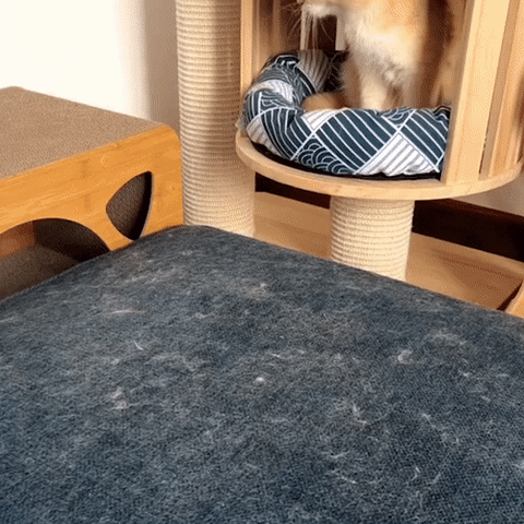 Skorter | 3-in-1 Pet Hair Remover - PetClean Pro