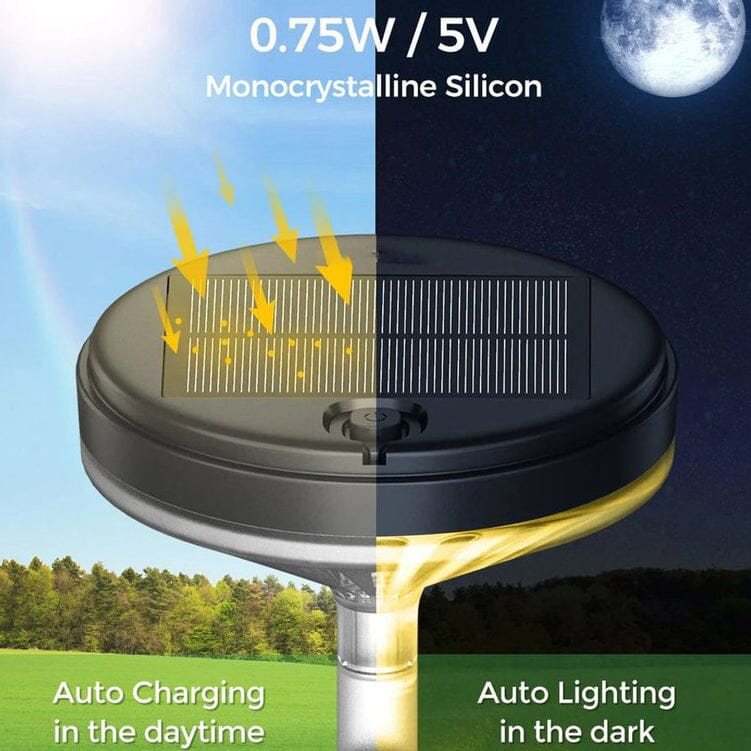 Skorter | 4-Pack: Warm White Solar Powered Lantern with 3 Light Modes