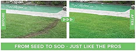 Skorter | Liquid Lawn Seed Spray - Household Seed System Liquid Lawn Seed
