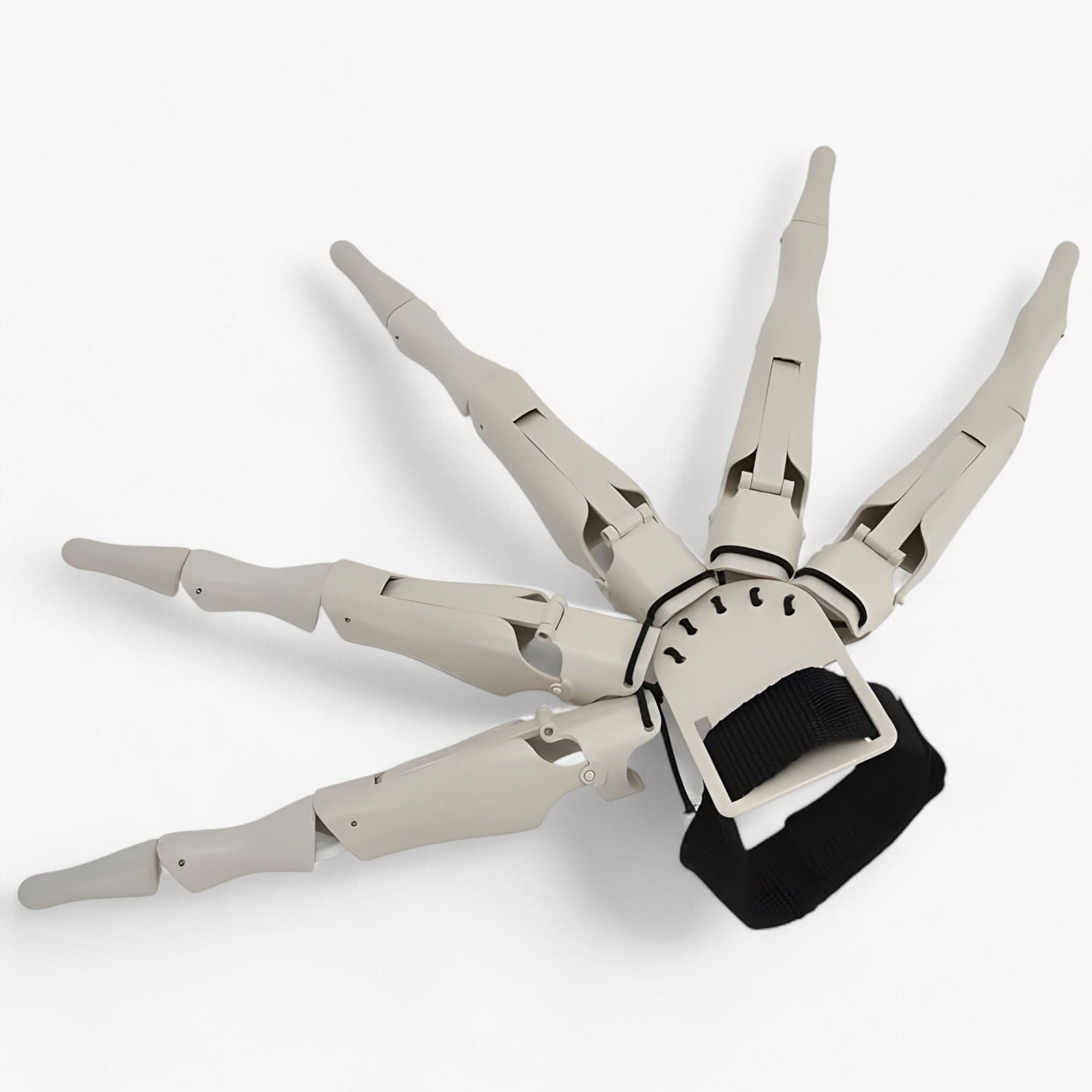 Skorter | Claw | Curled Skeletal Fingers - Realistic Horror Glove