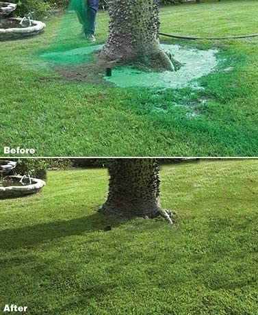 Skorter | Liquid Lawn Seed Spray - Household Seed System Liquid Lawn Seed