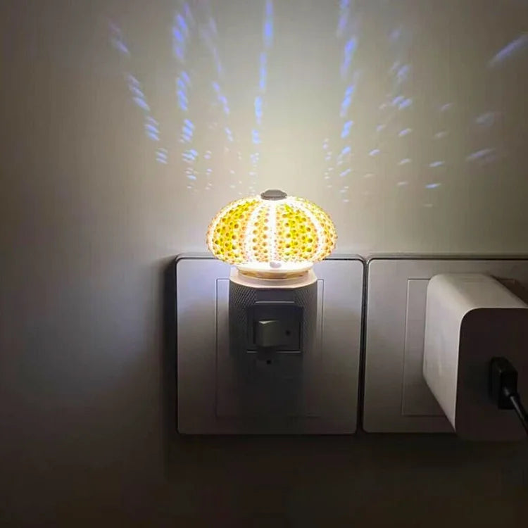 Skorter | LumiCraft – Unique DIY table lamp with natural sea shell for a cozy décor
