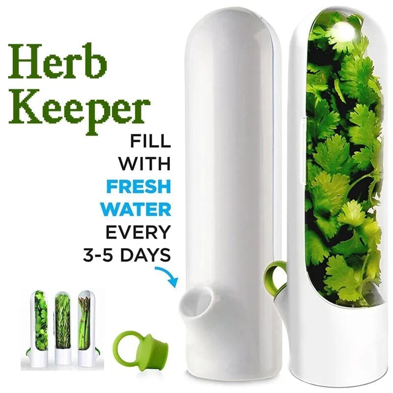 Skorter | Herb Fresh Holder