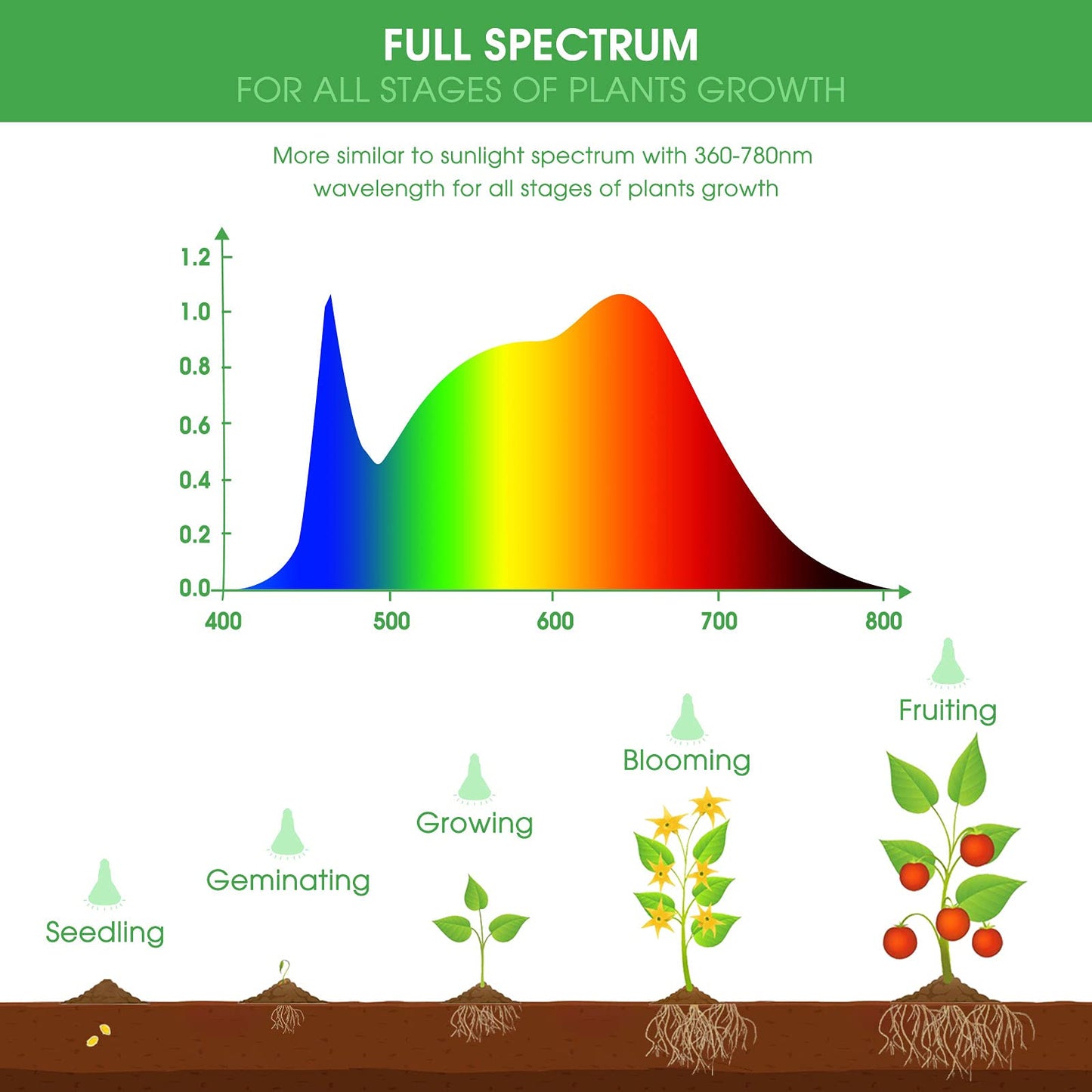 Skorter | Briignite LED Grow Light Bulbs, Full Spectrum 12W E26, 4 Pack for Indoor Plants & Hydroponics