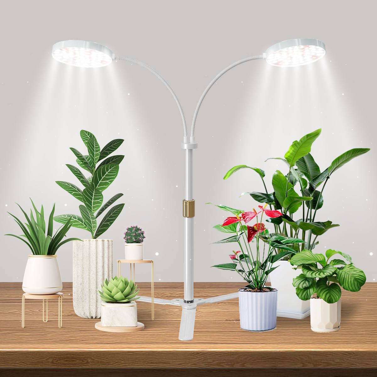 Skorter | Grow Light Dual Ring 3.5" With Base, 122 Leds 6000K White Full Spectrum Gooseneck Plant Lamp For Indoor Desk Plants, Dimmable & Height Adjustable 9-16", Timer 4/8/12/18 Hours