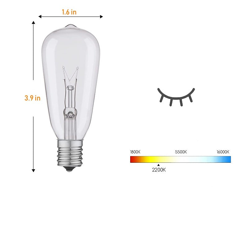 Skorter | Royaleva Outdoor Dimmable String Lights - 20 ft LED Ambient Lighting