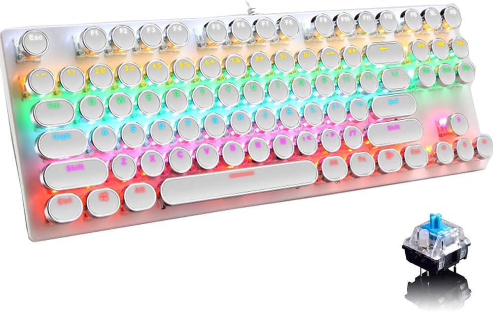 Skorter | 87-Key Mechanical Gaming Keyboard RGB Backlit Blue Switch