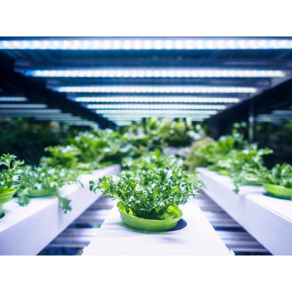 Skorter | Fat Electric 4' Plant Grow Led Tubular Bulb - 1 Pack, Ideal For Indoor Gardening